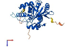 CNOT7 Protein (AA 1-285) (His tag)