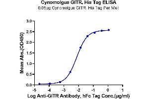 Immobilized Cynomolgus GITR, His Tag at 0. (TNFRSF18 Protein (AA 20-156) (His tag))