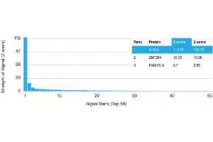 Analysis of Protein Array containing >19,000 full-length human proteins using Chromogranin A Mouse Recombinant Monoclonal Antibody (rCHGA/798) Z- and S- Score: The Z-score represents the strength of a signal that a monoclonal antibody (Monoclonal Antibody) (in combination with a fluorescently-tagged anti-IgG secondary antibody) produces when binding to a particular protein on the HuProtTM array. (Rekombinanter Chromogranin A Antikörper)