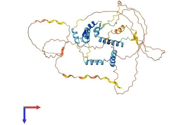 NUFIP1 Protein (AA 1-484) (His tag)
