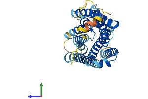 AlphaFold protein structure predicition of Mouse Recombinant Mrgpra6 Protein, UniprotID Q91ZC6 (Mrgpra6 Protein (AA 1-301) (His tag))
