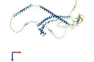 SMARCE1 Protein (AA 1-411) (His tag)