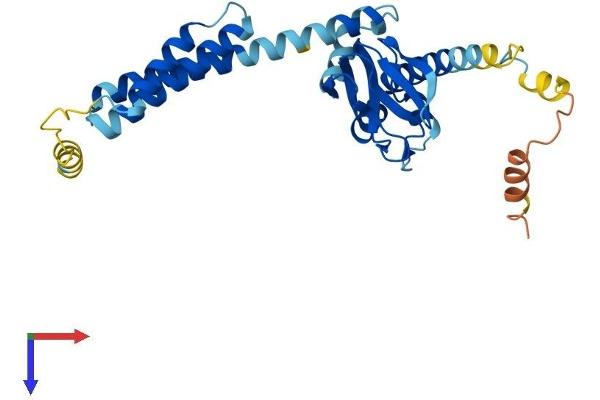 POPDC3 Protein (AA 1-291) (His tag)