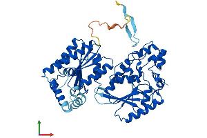 PFKFB4 Protein (AA 1-469) (His tag)