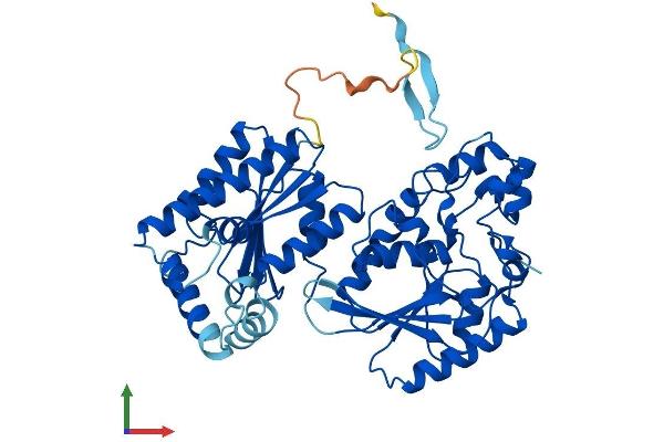 PFKFB4 Protein (AA 1-469) (His tag)
