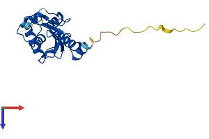 UBE2H Protein (AA 1-183) (His tag)