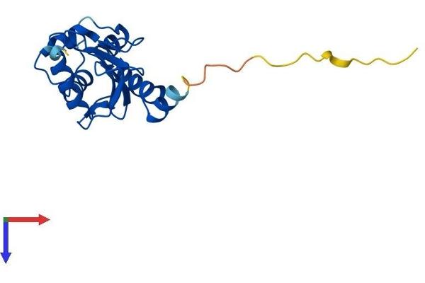 UBE2H Protein (AA 1-183) (His tag)