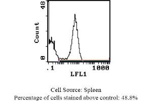 anti-MHC Class II (RT1D) antibody (Biotin)
