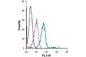 Cell surface detection of VPAC1 in live intact human THP-1 monocytic leukemia cells: (black line) Cells. (VIPR1 Antikörper  (Extracellular) (FITC))