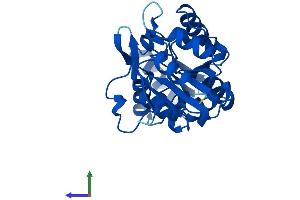 Protein Structure (PS) image for Phospholysine Phosphohistidine Inorganic Pyrophosphate Phosphatase (LHPP) (AA 1-270) protein (His tag) (ABIN7549041)
