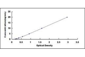 Typical standard curve (ASCC3 ELISA Kit)