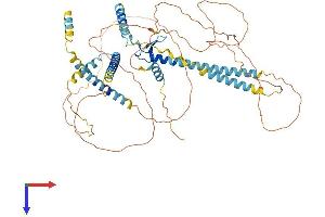 GATAD2B Protein (AA 1-593) (His tag)