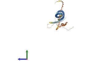 Protein Structure (PS) image for Scavenger Receptor Class A, Member 3 (SCARA3) (AA 1-606) protein (His tag) (ABIN7559193)