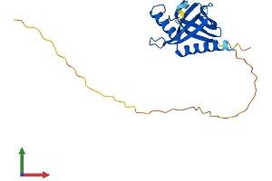Protein Structure (PS) image for Integrin beta 1 Binding Protein 1 (ITGB1BP1) (AA 1-200) protein (His tag) (ABIN7554226)