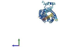 Protein Structure (PS) image for Ceramide Synthase 3 (CERS3) (AA 1-383) protein (His tag) (ABIN7556995)