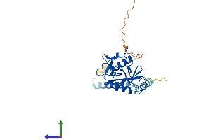 Protein Structure (PS) image for CD209d Antigen (CD209D) (AA 1-237) protein (His tag) (ABIN7560163)