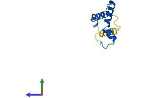 Protein Structure (PS) image for Dpy-30 Homolog (DPY30) (AA 1-99) protein (His tag) (ABIN7547145)