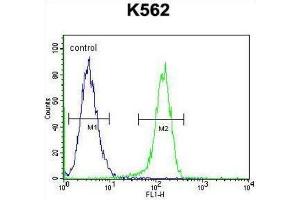 Flow Cytometry (FACS) image for anti-Myosin XIX (MYO19) antibody (ABIN2996064) (Myosin XIX Antikörper)