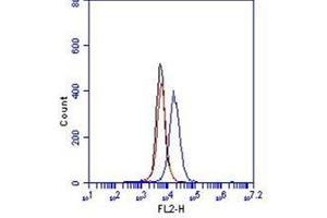 Flow Cytometry (FACS) image for anti-Cadherin 5 (CDH5) (Extracellular Domain) antibody (FITC) (ABIN1105885) (Cadherin 5 Antikörper  (Extracellular Domain) (FITC))