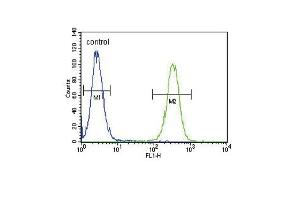Flow Cytometry (FACS) image for anti-Inhibin, beta A (INHBA) (AA 85-112), (N-Term) antibody (ABIN655078)