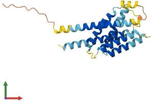 Protein Structure (PS) image for Insulin Induced Gene 2 (INSIG2) (AA 1-225) protein (His tag) (ABIN7548483)