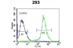 Flow Cytometry (FACS) image for anti-Dual Specificity Phosphatase 6 (DUSP6) antibody (ABIN3003763) (DUSP6 Antikörper)