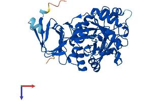 AMDHD2 Protein (AA 1-409) (His tag)