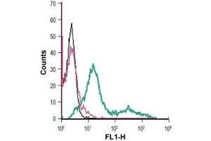 Cell surface detection of monocarboxylate transporter 1 in live intact mouse TK-1 T-cell lymphoma cells: (black line) Cells.