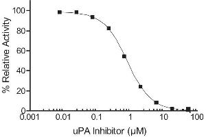 Activity Assay (AcA) image for SensoLyte® AFC Urokinase (uPA) Activity Assay Kit (ABIN1882570)