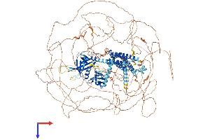 ARHGEF5 Protein (AA 1-1597) (His tag)