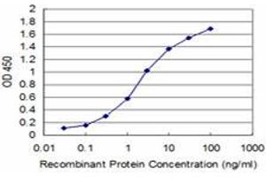 Detection limit for recombinant GST tagged BOLL is approximately 0. (BOLL Antikörper  (AA 185-283))