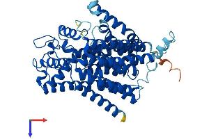 ALG6 Protein (AA 1-507) (His tag)