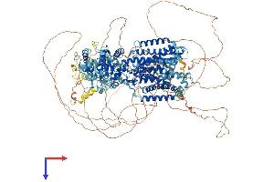DISP1 Protein (AA 1-1524) (His tag)