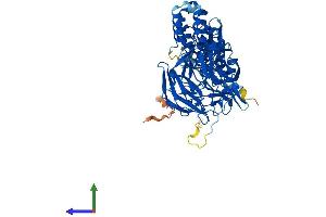 Protein Structure (PS) image for Kelch-Like ECH-Associated Protein 1 (KEAP1) (AA 1-624) protein (His tag) (ABIN7554330)