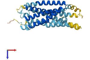 GPR82 Protein (AA 1-328) (His tag)