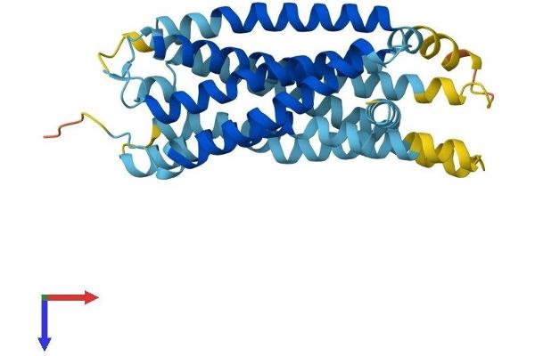 GPR82 Protein (AA 1-328) (His tag)