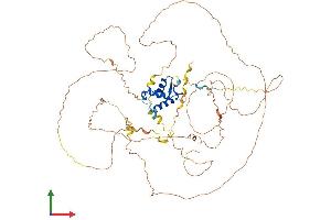 Protein Structure (PS) image for Forkhead Box O3 (FOXO3) (AA 1-672) protein (His tag) (ABIN7565242)