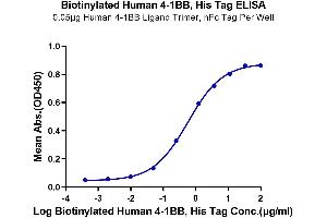 Immobilized Human 4-1BB Ligand Trimer, hFc Tag at 0. (CD137 Protein (AA 24-186) (His-Avi Tag,Biotin))