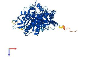 TUBA1C Protein (AA 1-449) (His tag)