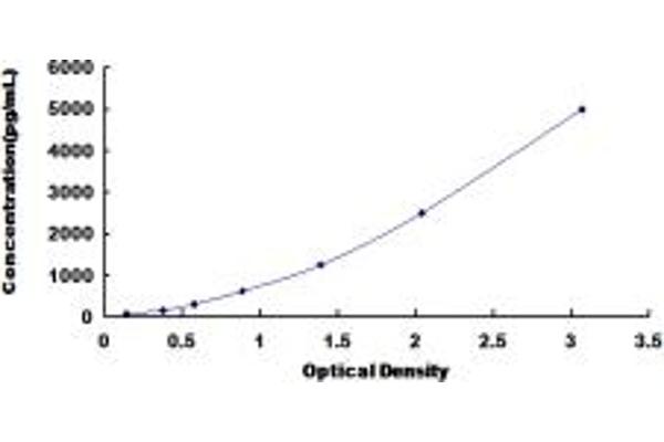 DPP9 ELISA Kit