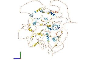 Protein Structure (PS) image for Eukaryotic Translation Initiation Factor 4E Nuclear Import Factor 1 (EIF4ENIF1) (AA 1-983) protein (His tag) (ABIN7565066)