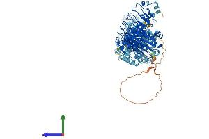 Protein Structure (PS) image for Leucine Rich Repeat Containing 8 Family, Member E (LRRC8E) (AA 1-795) protein (His tag) (ABIN7563996)