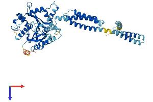 ATL3 Protein (AA 1-541) (His tag)