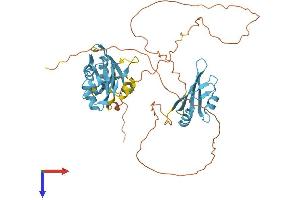 HNRNPH1 Protein (AA 1-449) (His tag)