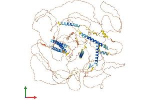 Protein Structure (PS) image for AT-Hook Transcription Factor (AKNA) (AA 1-1404) protein (His tag) (ABIN7564276)