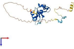 Phage Inhibition, Colicin Resistance and Tellurite Resistance Protein (TERB_2) (AA 1-218) protein (His tag)