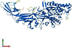 Protein Structure (PS) image for Peptidyl Arginine Deiminase, Type III (PADI3) (AA 1-664) protein (His tag) (ABIN7550406)