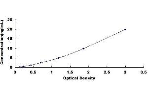 Complement Component 1, R Subcomponent (C1R) ELISA Kit