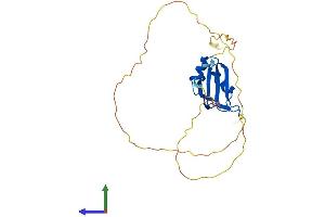 Protein Structure (PS) image for RNA Binding Motif Protein 38 (RBM38) (AA 1-237) protein (His tag) (ABIN7557765)