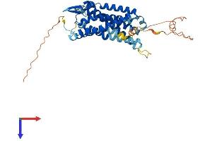 P2RY2 Protein (AA 1-377) (His tag)